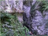 Krnica - Pokljuka Gorge (luknja)